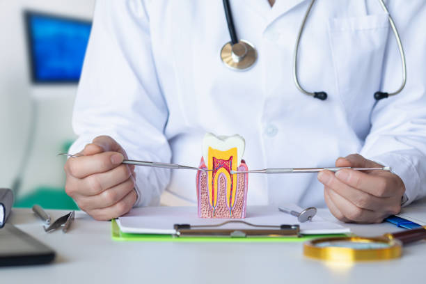 Best Emergency Dental Care for Broken or Chipped Teeth in Cross Plains, WI